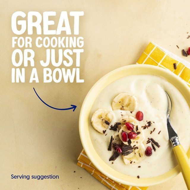 Alpro Vanilla Yoghurt Alternative   500g - McGrocer