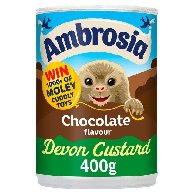 Ambrosia Chocolate Custard Can   400g - McGrocer
