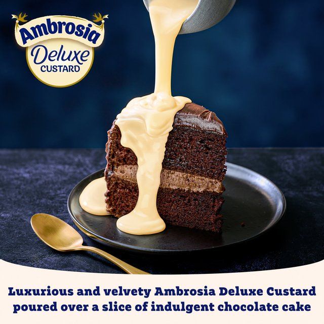 Ambrosia Deluxe West Country Cream Custard Can   400g - McGrocer