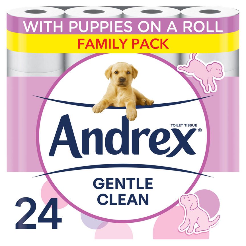 Andrex Family Soft Toilet Tissue 24 Rolls - McGrocer