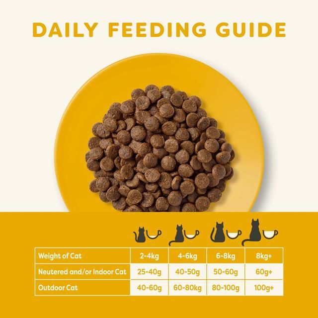 Applaws Cat Dry Adult Chicken with Salmon   2kg - McGrocer