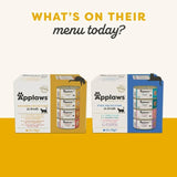 Applaws Cat Dry Adult Chicken with Salmon   2kg - McGrocer