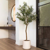 Artificial 6.5ft Olive Tree in Planter - McGrocer