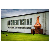 Auchentoshan Three Wood Single Malt Scotch Whisky   70cl - McGrocer