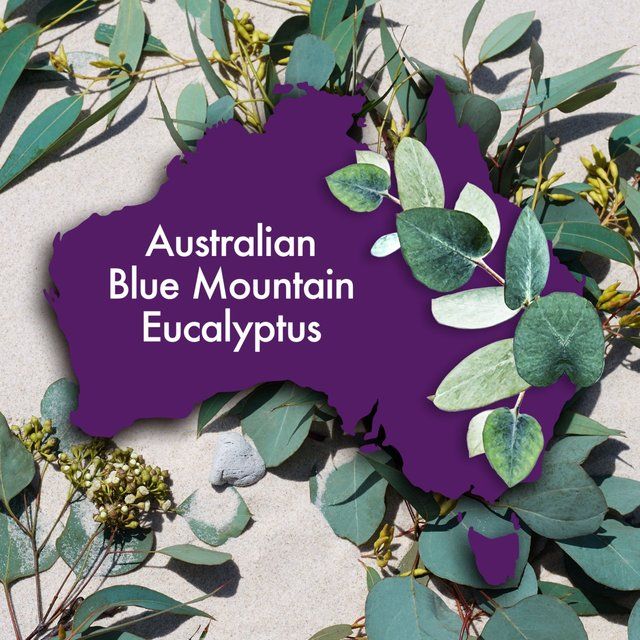 Aussie Mega Conditioner   200ml - McGrocer