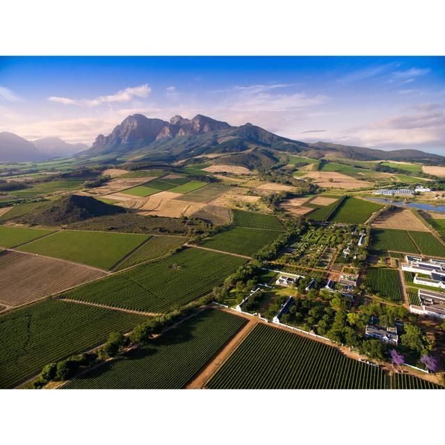 Babylonstoren Babel Red Blend   75cl - McGrocer