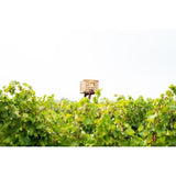 Babylonstoren Mourvedre South African Rose   75cl - McGrocer