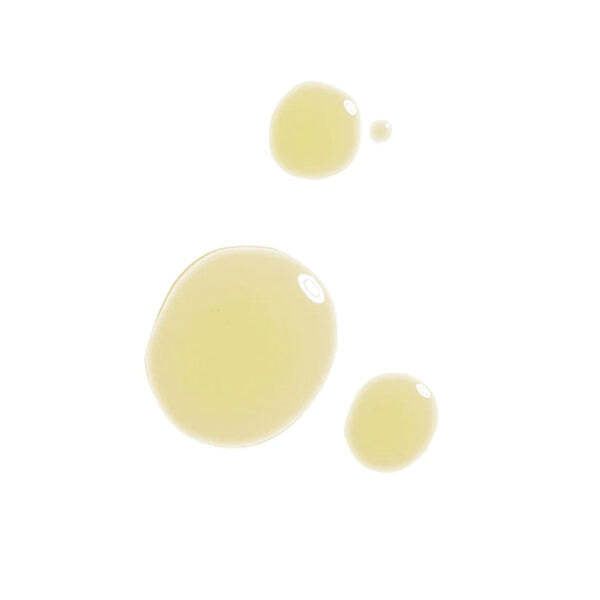 Baie Botanique Rose Renew Regenerating Face Oil 15ml - McGrocer