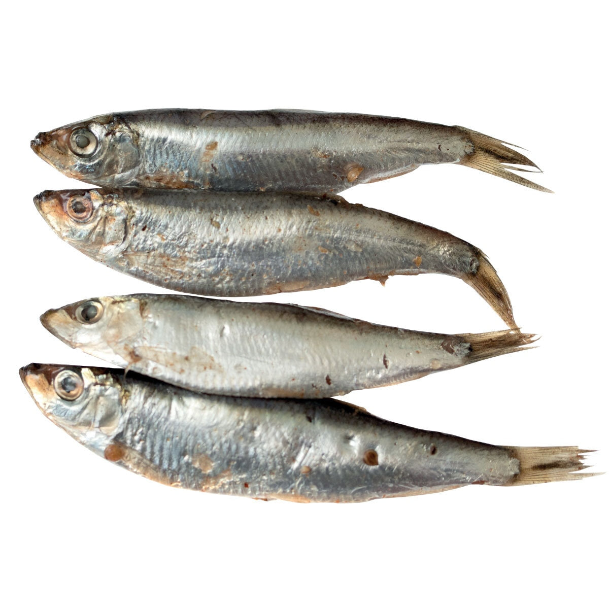 Wilsons Premium Baltic Sprats for Dogs, 1kg - McGrocer