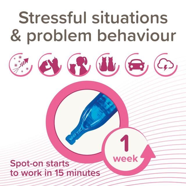 Beaphar CatComfort Calming Spot-On for Cats   3 per pack - McGrocer