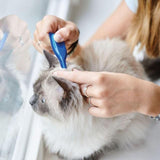 Beaphar CatComfort Calming Spot-On for Cats   3 per pack - McGrocer