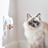 Beaphar CatComfort Excellence Calming Diffuser for Cats   3 per pack - McGrocer