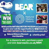 BEAR Fruit Yoyos Raspberry Multipack   5 x 20g - McGrocer