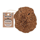 Beauty Kitchen Eco-Harvested Face Sea Sponge - McGrocer