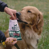 Beco Dog Treats Dog Choc with Carob Chamomile & Quinoa   70g - McGrocer