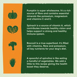 Beco Free Range Turkey with Pumpkin & Spinach Dry Food for Puppies   2kg - McGrocer