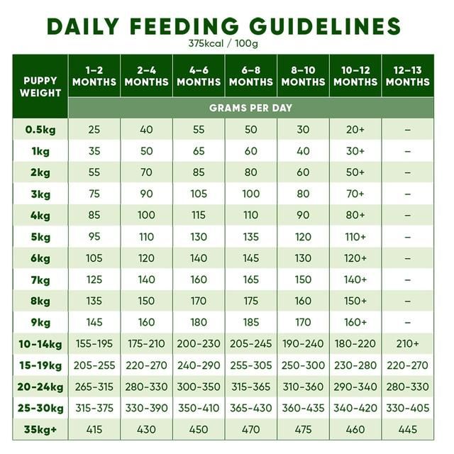 Beco Free Range Turkey with Pumpkin & Spinach Dry Food for Puppies   2kg - McGrocer