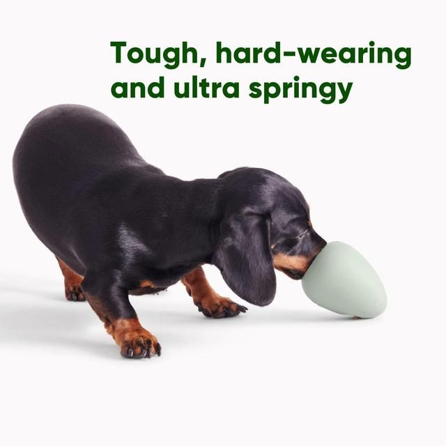 Beco Natural Rubber Boredom Buster - Green - McGrocer