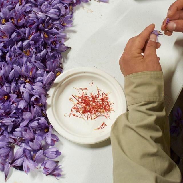 Belazu Category 1 Spanish Saffron   1g - McGrocer
