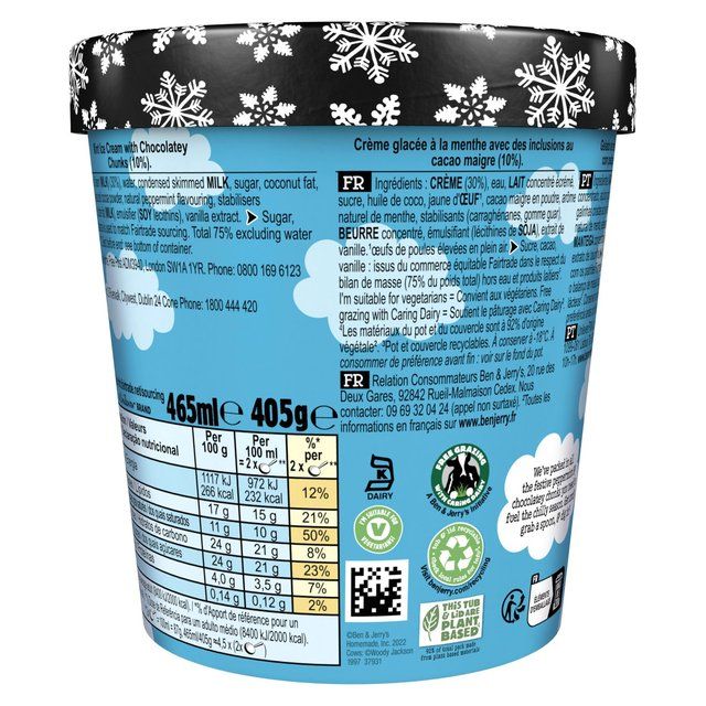 Ben & Jerry's Minter Wonderland Mint Ice Cream Tub   465ml - McGrocer