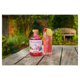 Berkshire Botanical Rhubarb & Raspberry Gin   50cl - McGrocer