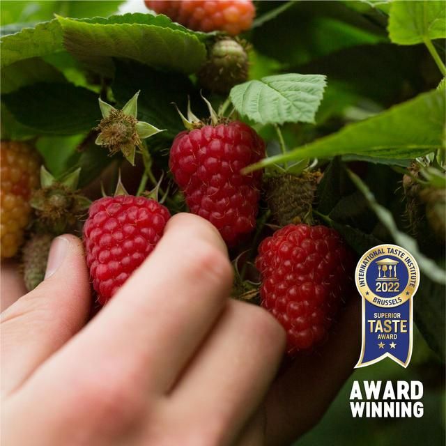 BerryWorld British Raspberries   150g - McGrocer