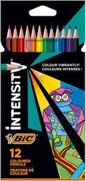 Bic Intensity Colouring Pencils – 12 Pack - McGrocer