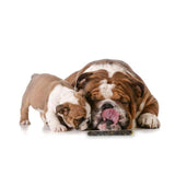 Billy & Margot Venison Chew Sticks Dog Treats   100g - McGrocer