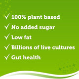 Biotiful Plant-Based Oat Kefir Yor-Gut Vanilla   350g - McGrocer