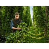 Bitburger Premium Pils 0.0%   6 x 330ml - McGrocer