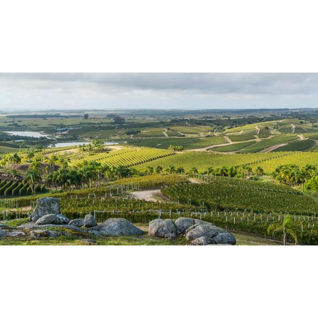 Bodega Garzon Reserve Tannat   75cl - McGrocer