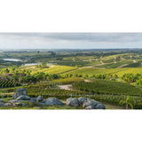 Bodega Garzon Reserve Tannat   75cl - McGrocer