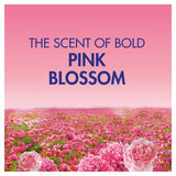 Bold 2In1 Washing Liquid Gel Pink Blossom 40 Washes   1320ml - McGrocer