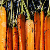 Borough Broth Co 100% Organic Lamb Fat   250g - McGrocer