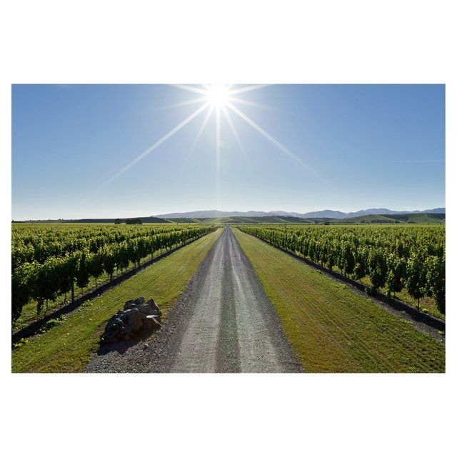 Brancott Estate Flight Sauvignon Blanc   75cl