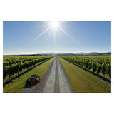 Brancott Estate Flight Sauvignon Blanc   75cl