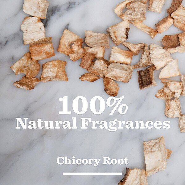 Bulldog Original Shampoo