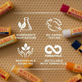 Burt's Bees Moisturising Vanilla Bean Lip Balm   4.25g