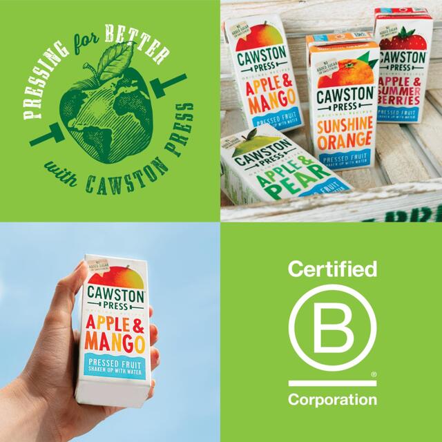 Cawston Press Kids Blend Apple & Mango Juice   3 x 200ml - McGrocer