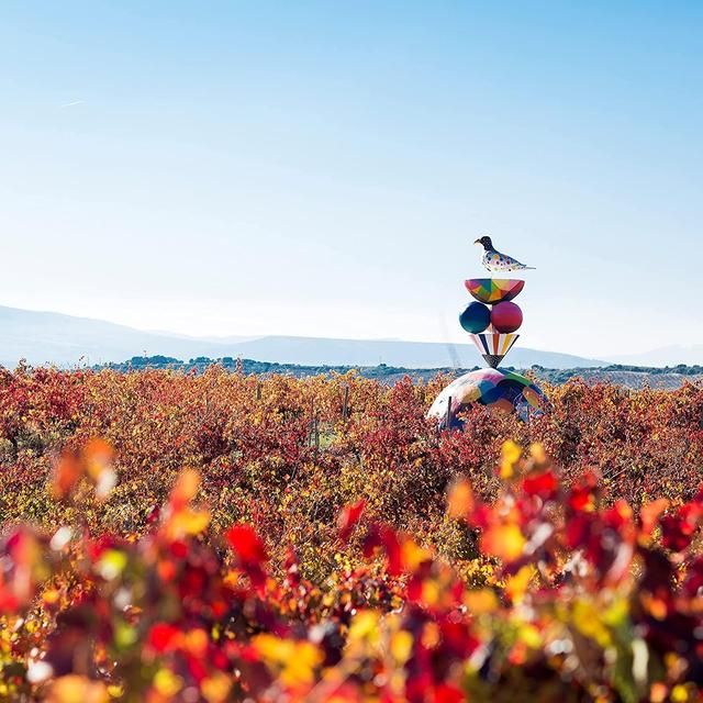 Campo Viejo Rioja Gran Reserva   75cl