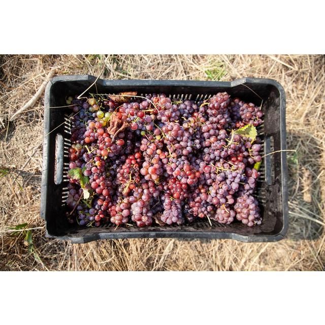 Capeography  Cloudscape Elgin Sauvignon Blanc   75cl