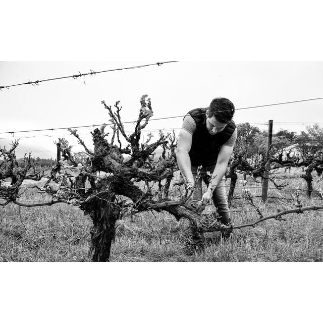 Capeography Cloudscape Paarl Cinsault   75cl