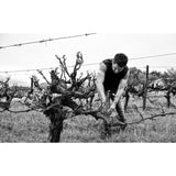 Capeography  Seascape Coastal Malbec   75cl