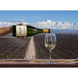 Catena Alta Chardonnay 2019   75cl