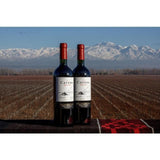 Catena Malbec 2019   75cl