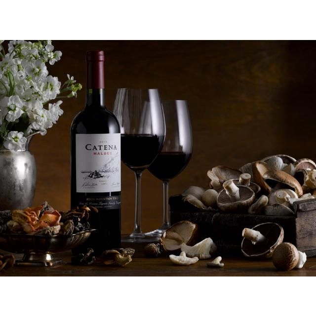 Catena Malbec 2019   75cl