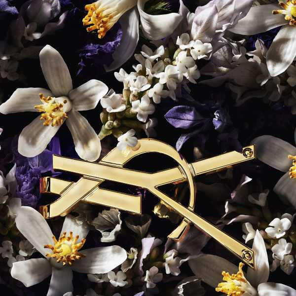 YSL Libre L'Absolu Platine 90ML EDP GOODS Superdrug   