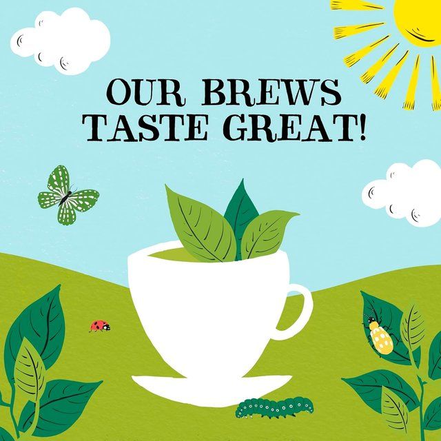 Clipper Organic Everyday 160 Tea bags   160 per pack