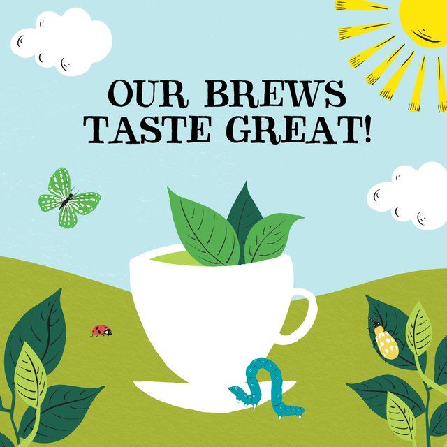 Clipper Organic &amp;amp; Fairtrade Green Tea   40 per pack