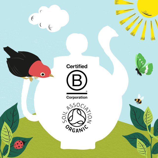 Clipper Organic &amp;amp; Fairtrade Green Tea   40 per pack